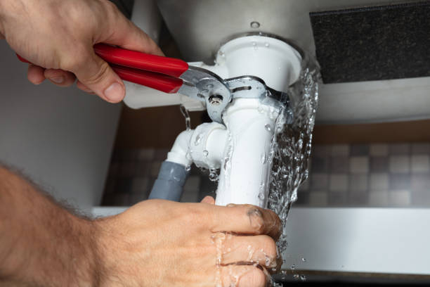 Best Basement water damage restoration  in Shoh, IL
