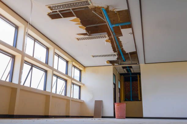 Best Flood restoration services  in Shoh, IL
