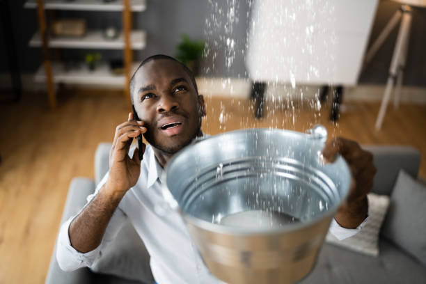 Best 24/7 water damage repair  in Shoh, IL