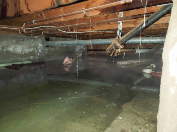 Best Emergency water extraction  in Shoh, IL
