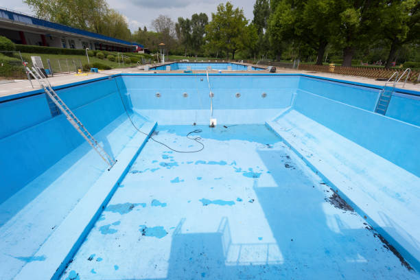 Best Professional water damage repair  in Shoh, IL