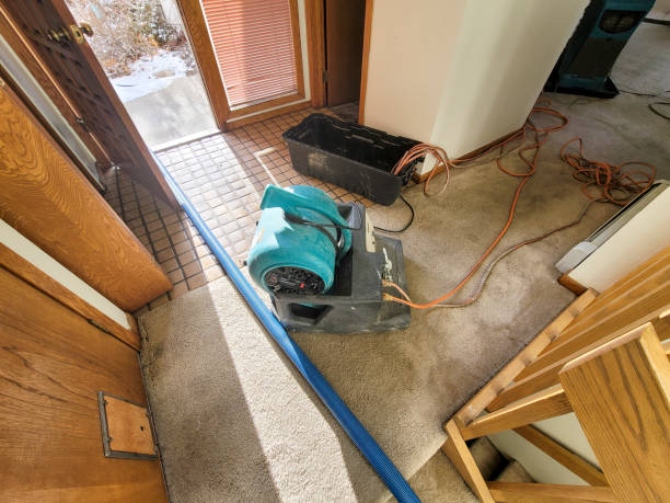 Best Local water damage restoration  in Shoh, IL