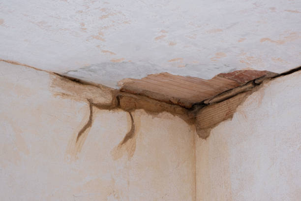  Shoh, IL Water damage restoration Pros