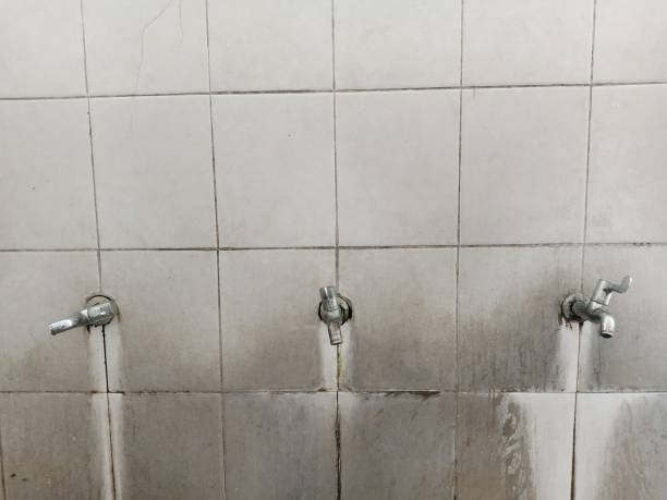 Best Commercial water damage restoration  in Shoh, IL
