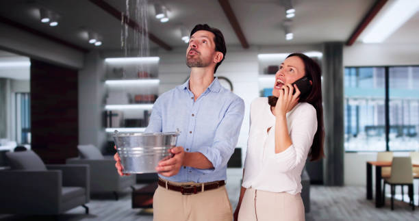 Best Water damage restoration near me  in Shoh, IL