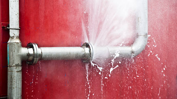 Best Flood damage cleanup  in Shoh, IL